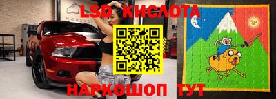 крисы Кандалакша