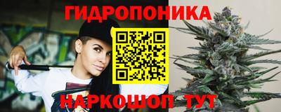 крисы Кандалакша