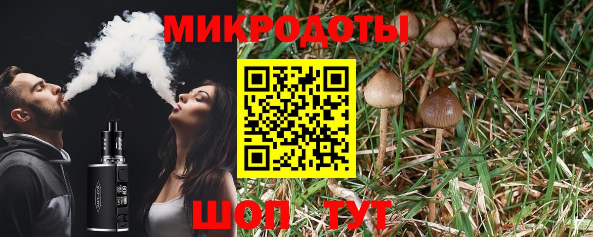 Псилоцибиновые грибы Magic Shrooms Биробиджан